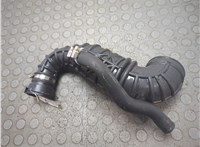  Патрубок корпуса воздушного фильтра Ford Transit (Tourneo) Connect 2002-2013 20973122 #3