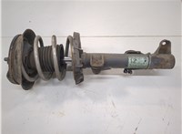 A2033202130, 824904000105 Амортизатор подвески Mercedes C W203 2000-2008 20973746 #1