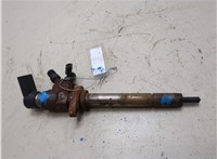 1373549, 1373550, 1483820, 9657144580 Форсунка топливная Ford Galaxy 2006-2010 20974476 #6