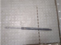 7L2478406A10AA Амортизатор крышки багажника Ford Explorer 2006-2010 20976119 #1