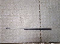 6L247842105AF Амортизатор капота Ford Explorer 2006-2010 20976122 #1