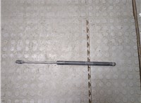 6L247842105AF Амортизатор капота Ford Explorer 2006-2010 20976126 #1