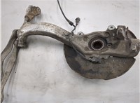  Ступица (кулак, цапфа) Audi A4 (B6) 2000-2006 20976189 #1