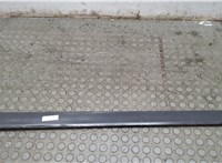 8E0853960 Молдинг двери Audi A4 (B6) 2000-2006 20976244 #8