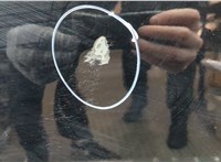 C2Y57202XG, C23572590B Дверь раздвижная Mazda 5 (CR) 2005-2010 20976515 #2