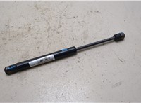 6L2Z16C826C Амортизатор капота Ford Explorer 2006-2010 20977032 #3