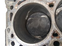 06H103011AN Блок цилиндров (Шорт блок) Audi A5 (8T) 2007-2016 20978670 #9