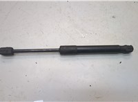 51237239233, 7239233 Амортизатор капота BMW 3 F30 2012-2019 20979132 #1