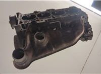 06B103351J Головка блока (ГБЦ) Audi A4 (B6) 2000-2006 20981589 #10