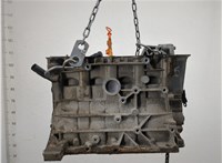 06B103101G Блок цилиндров (Шорт блок) Audi A4 (B6) 2000-2006 20981591 #1