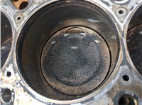 06B103101G Блок цилиндров (Шорт блок) Audi A4 (B6) 2000-2006 20981591 #10
