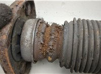 33506751544, 6751544 Амортизатор подвески BMW X5 E53 2000-2006 20982636 #3