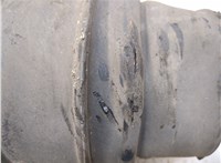  Амортизатор подвески Land Rover Discovery 3 2004-2009 20989056 #4