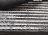 BV619L440CK, CX168004 Радиатор интеркулера Ford Transit (Tourneo) Connect 2012-2018 20992371 #2