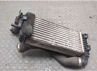 BV619L440CK, CX168004 Радиатор интеркулера Ford Transit (Tourneo) Connect 2012-2018 20992371 #3