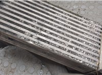 BV619L440CK, CX168004 Радиатор интеркулера Ford Transit (Tourneo) Connect 2012-2018 20992371 #4