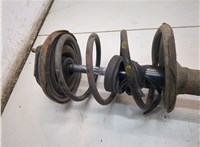  Амортизатор подвески Nissan Almera Tino 20992957 #3