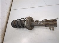 51796541, 51812161 Амортизатор подвески Fiat Grande Punto 2005-2010 20992418 #2