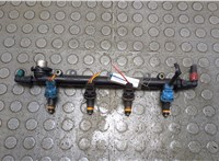  Форсунка топливная Proton Gen 2 2004-2012 20995778 #1