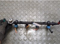  Форсунка топливная Proton Gen 2 2004-2012 20995778 #2