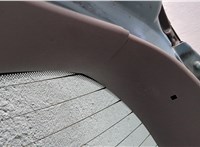  Подсветка номера Renault Scenic 2003-2009 11716364 #5