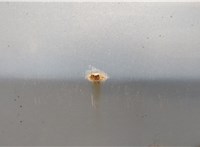  Подсветка номера Renault Scenic 2003-2009 11716364 #10