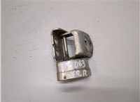 804203220R Петля двери Renault Megane 2 2002-2009 20996833 #1