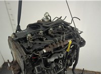 1709003, 9C1Q6006AA Двигатель (ДВС) Ford Transit 2006-2014 20998368 #13