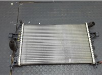 09202503 Радиатор охлаждения двигателя Opel Astra G 1998-2005 21000521 #1