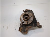 51881462, 51776378 Ступица (кулак, цапфа) Fiat Punto Evo 2009-2012 21001704 #1