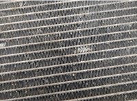 17118603269, 8603269 Радиатор охлаждения двигателя BMW X1 (F48) 2015-2022 21003474 #2