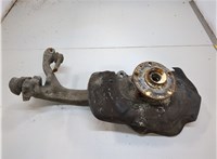  Ступица (кулак, цапфа) Audi A6 (C6) 2004-2011 21003487 #1