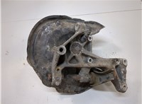  Ступица (кулак, цапфа) Volkswagen Passat 6 2005-2010 21003661 #1