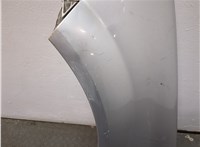  Повторитель поворотов Renault Megane 2 2002-2009 11721105 #4