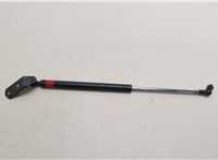 5344049075 Амортизатор капота Lexus RX 1998-2003 21005857 #1
