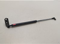5344049075 Амортизатор капота Lexus RX 1998-2003 21005857 #3