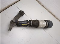  Амортизатор подвески Mercedes CLS C219 2004-2010 21005963 #4