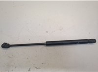 654701BA0A Амортизатор капота Infiniti EX35 21006220 #1