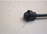 654701BA0A Амортизатор капота Infiniti EX35 21006220 #3