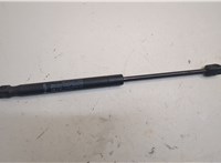 654701BA0A Амортизатор капота Infiniti EX35 21006222 #1