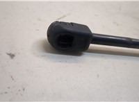 654701BA0A Амортизатор капота Infiniti EX35 21006222 #3