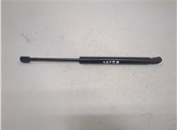 25794896 Амортизатор капота Hummer H3 21006501 #1