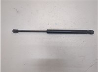 25794896 Амортизатор капота Hummer H3 21006501 #2