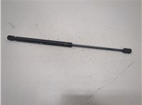 55276321AA Амортизатор капота Dodge Ram (DR / DH) 2001-2009 21006699 #1