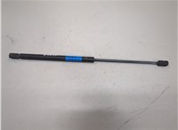 55276321AA Амортизатор капота Dodge Ram (DR / DH) 2001-2009 21006699 #2