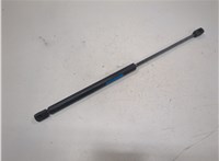 55276321AA Амортизатор капота Dodge Ram (DR / DH) 2001-2009 21006717 #1