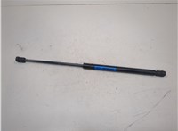 55276321AB Амортизатор капота Dodge Ram (DR / DH) 2001-2009 21006724 #1