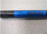 55276321AB Амортизатор капота Dodge Ram (DR / DH) 2001-2009 21006724 #2