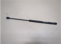 55276321AB Амортизатор капота Dodge Ram (DR / DH) 2001-2009 21006724 #3