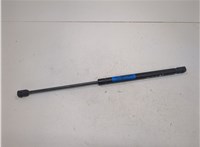 55276321AB Амортизатор капота Dodge Ram (DR / DH) 2001-2009 21006843 #1